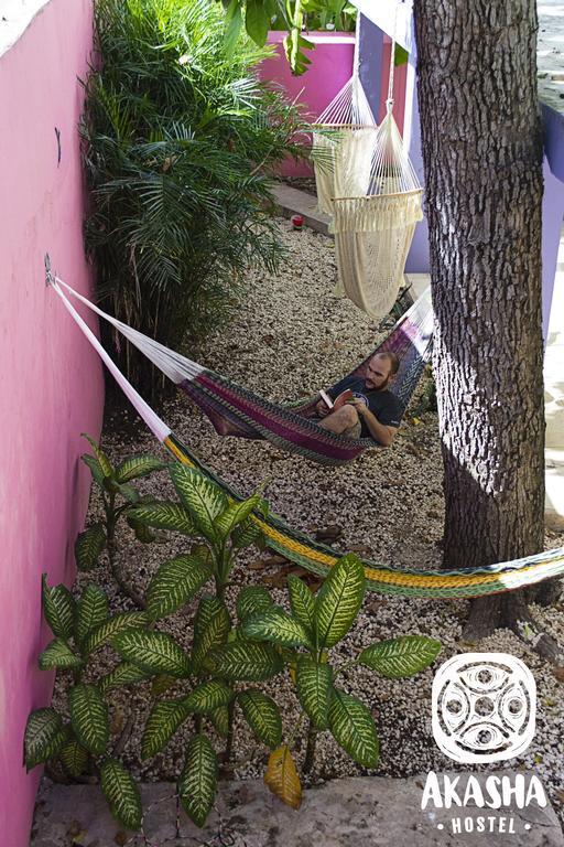 Akasha Hostel Merida Ngoại thất bức ảnh