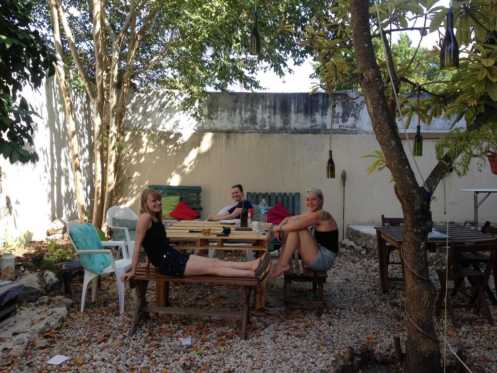 Akasha Hostel Merida Ngoại thất bức ảnh