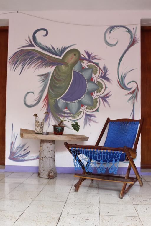Akasha Hostel Merida Ngoại thất bức ảnh