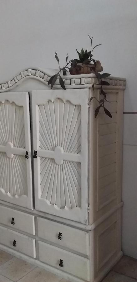 Akasha Hostel Merida Ngoại thất bức ảnh