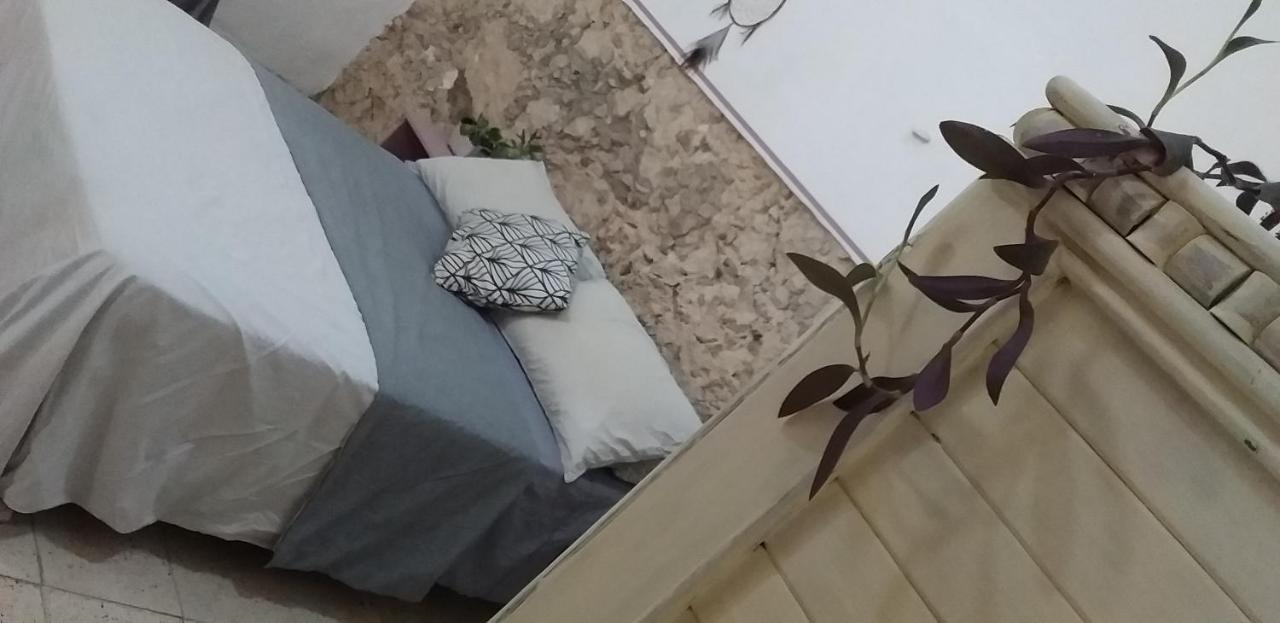 Akasha Hostel Merida Ngoại thất bức ảnh